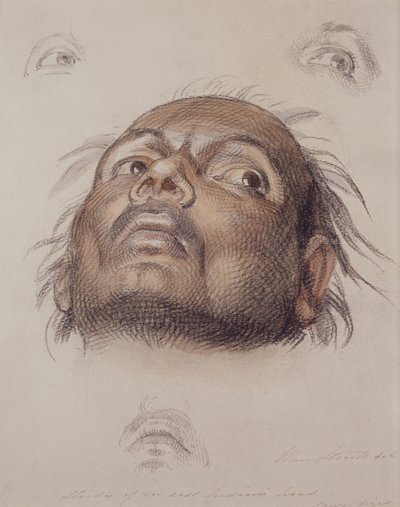 Bir Doğu Kızılderili Kafasının Çalışması, c.1875 (kağıt üzerinde pastel boya ve yıkama) by William Strutt