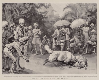 Hindistan