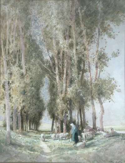 Bir Çoban ve Sürüsü, Hollanda (kağıt üzerine suluboya) by William Tatton Winter