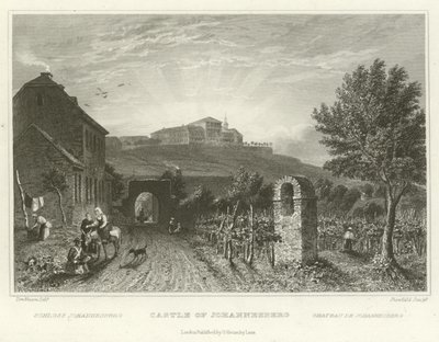 Johannesburg Kalesi by William Tombleson