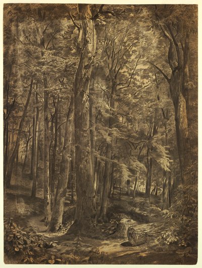  by William Trost Richards