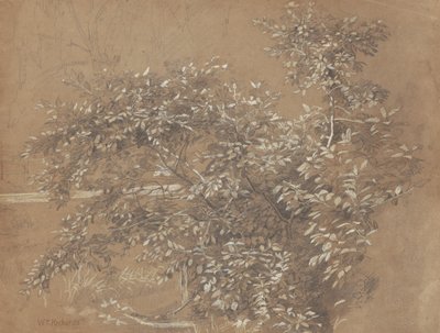 Yeşillik by William Trost Richards