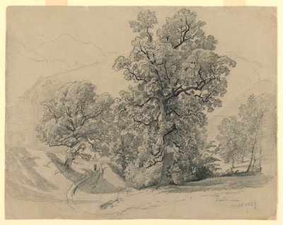 Manzara, Lauterbrunnen, İsviçre by William Trost Richards