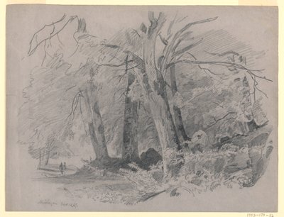 Manzara, Meiringen, İsviçre by William Trost Richards