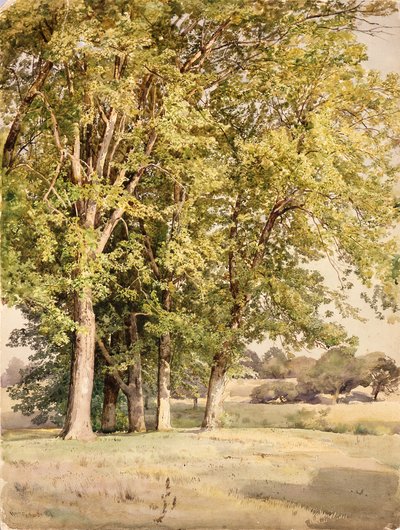  by William Trost Richards