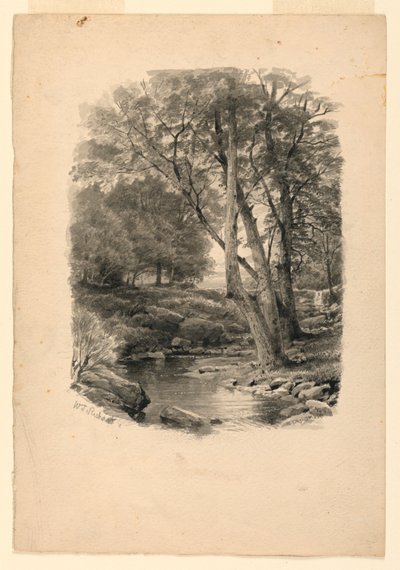 Ormanda Havuz by William Trost Richards