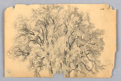 karaağaç çalışması by William Trost Richards