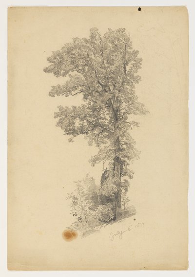 Yeşillik çalışması by William Trost Richards