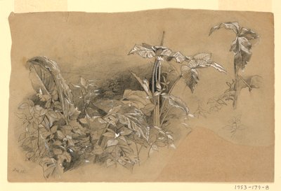 Yeşillik çalışması by William Trost Richards