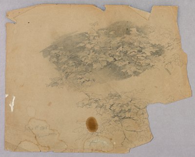 Yeşillik çalışması by William Trost Richards