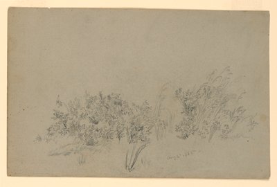 Yeşillik çalışması by William Trost Richards
