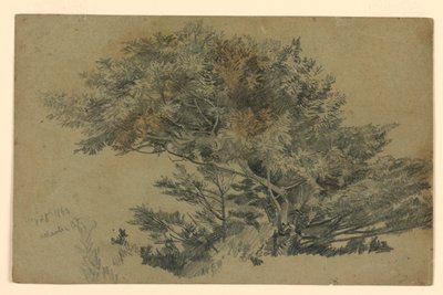 Yeşillik çalışması by William Trost Richards
