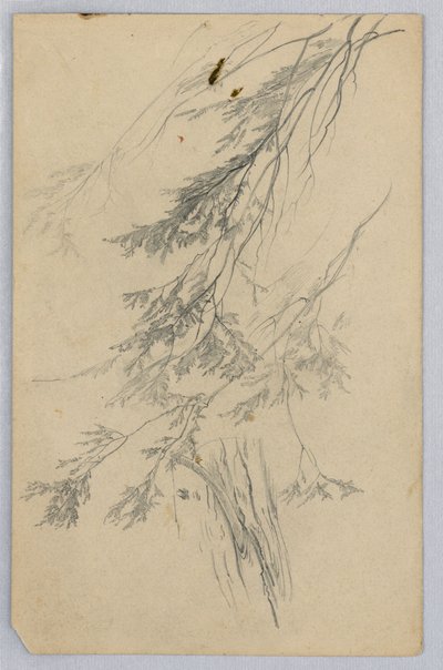 Yeşillik çalışması by William Trost Richards