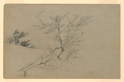 Yeşillik çalışması by William Trost Richards