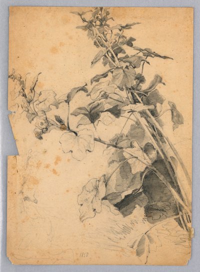 Yeşillik çalışması by William Trost Richards