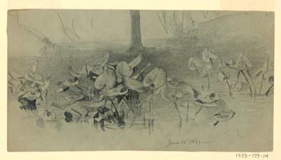 Yeşillik çalışması by William Trost Richards