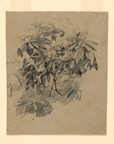 Yeşillik çalışması by William Trost Richards