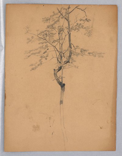 Yeşillik çalışması by William Trost Richards
