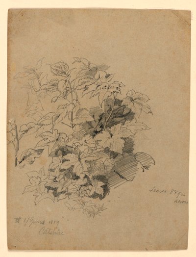 Yeşillik çalışması by William Trost Richards