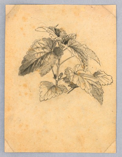 Yeşillik çalışması by William Trost Richards
