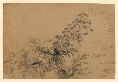 Yeşillik çalışması by William Trost Richards