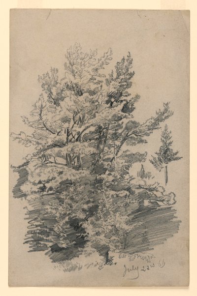 Yeşillik çalışması by William Trost Richards