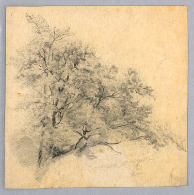 Yeşillik çalışması by William Trost Richards