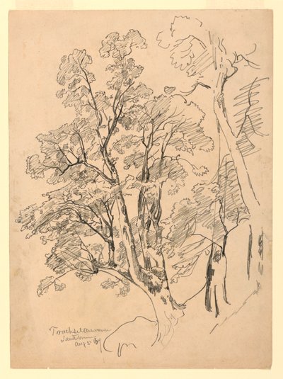 Yeşillik çalışması, Trachselwald, Bern, İsviçre by William Trost Richards