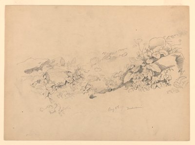 Yeşillik çalışması, Trachselwald, Bern, İsviçre by William Trost Richards