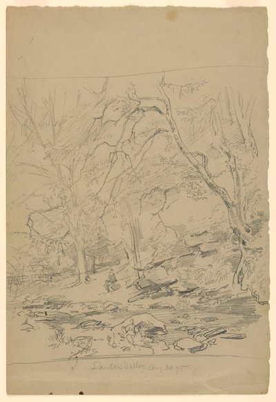 Peyzaj çalışması, Lawton Valley, RI by William Trost Richards
