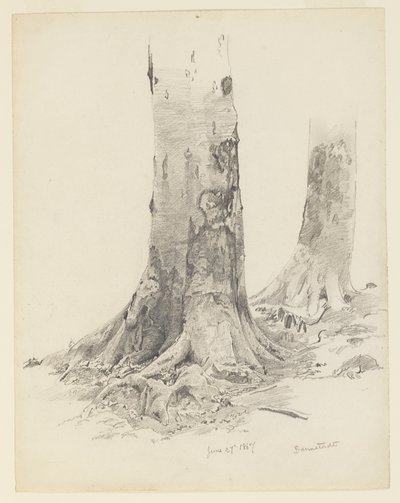 Ağaç Gövdeleri, Darmstadt by William Trost Richards