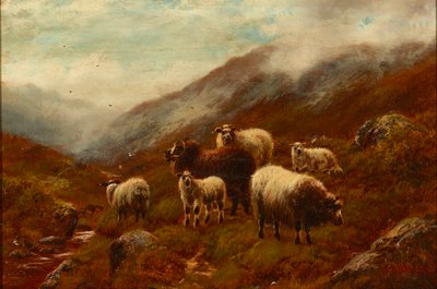 Yamaçta Yayla Koyunları (tuval üzerine yağlı boya) by William Watson