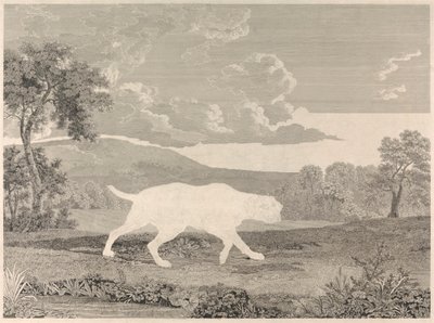 [Çekim] İspanyol İşaretçisi by William Woollett
