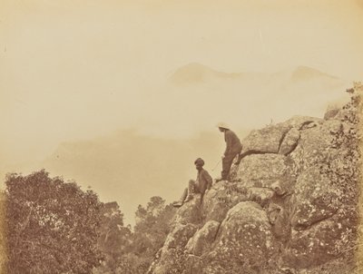  by Willoughby Wallace Hooper