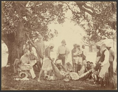 by Willoughby Wallace Hooper