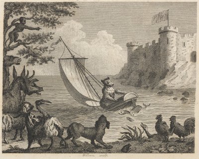 Teknedeki Ayı by Wilson
