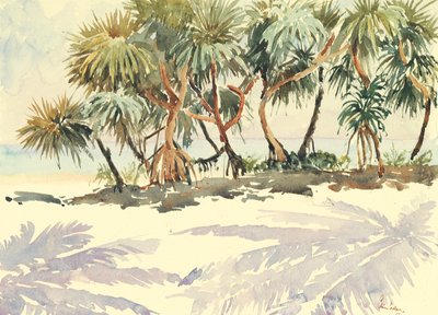735 Saman ağaçları, Bentota by Wilson Clive