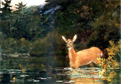 Bir Geyik, 1889 by Winslow Homer