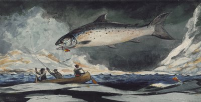 İyi Bir Havuz, Saguenay Nehri, 1895 by Winslow Homer