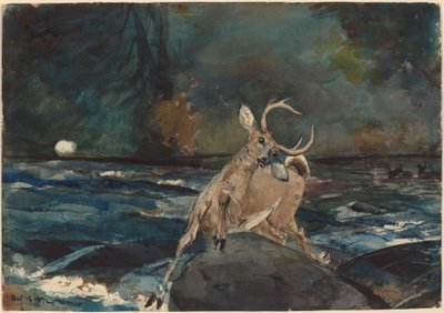İyi Bir Atış, Adirondacks by Winslow Homer