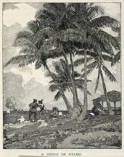  by Winslow Homer