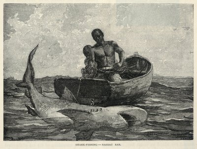  by Winslow Homer