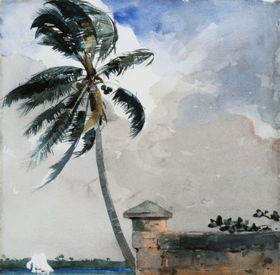 Tropikal Bir Esinti, Nassau, 1889-90 by Winslow Homer