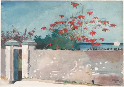 Bir Duvar, Nassau by Winslow Homer