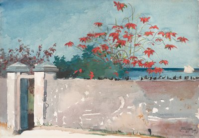 Bir Duvar, Nassau, 1898. by Winslow Homer