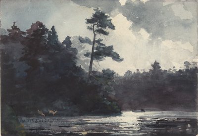 Adirondack Gölü by Winslow Homer
