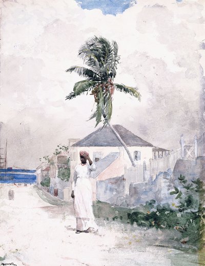 Yol Boyunca, Bahamalar, 1885 by Winslow Homer
