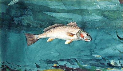 Kanal Bas, 1904. by Winslow Homer