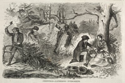Noel - Yaprak Dökmeyenlerin Toplanması, 1858. by Winslow Homer