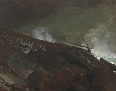 Maine Sahili, 1893 by Winslow Homer